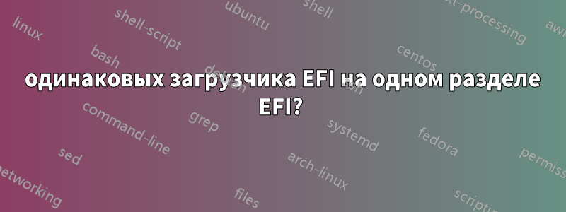 2 одинаковых загрузчика EFI на одном разделе EFI?