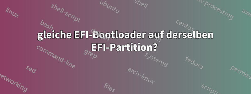 2 gleiche EFI-Bootloader auf derselben EFI-Partition?