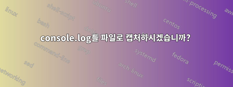 console.log를 파일로 캡처하시겠습니까?