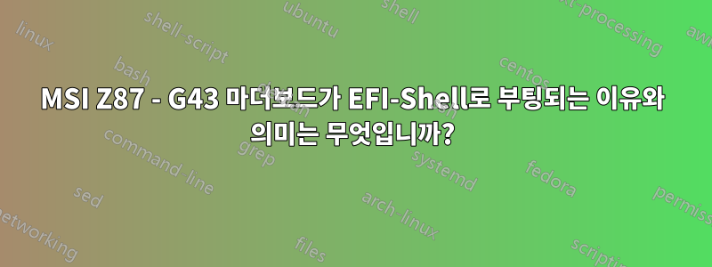 MSI Z87 - G43 마더보드가 EFI-Shell로 부팅되는 이유와 의미는 무엇입니까?