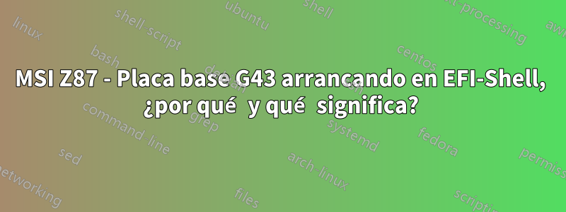 MSI Z87 - Placa base G43 arrancando en EFI-Shell, ¿por qué y qué significa?