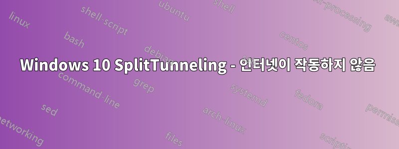 Windows 10 SplitTunneling - 인터넷이 작동하지 않음