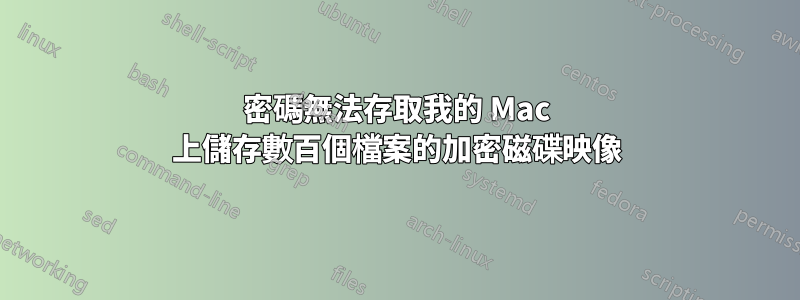 密碼無法存取我的 Mac 上儲存數百個檔案的加密磁碟映像