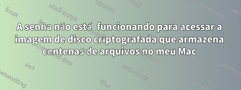 A senha não está funcionando para acessar a imagem de disco criptografada que armazena centenas de arquivos no meu Mac