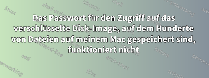 Das Passwort für den Zugriff auf das verschlüsselte Disk-Image, auf dem Hunderte von Dateien auf meinem Mac gespeichert sind, funktioniert nicht