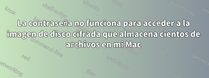 La contraseña no funciona para acceder a la imagen de disco cifrada que almacena cientos de archivos en mi Mac