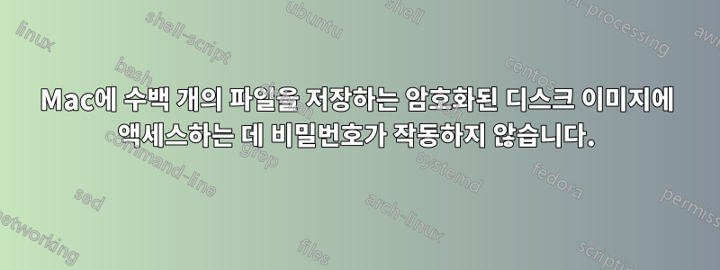 Mac에 수백 개의 파일을 저장하는 암호화된 디스크 이미지에 액세스하는 데 비밀번호가 작동하지 않습니다.