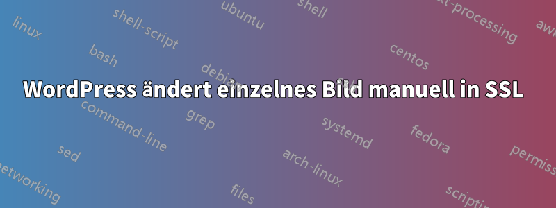 WordPress ändert einzelnes Bild manuell in SSL 