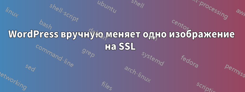 WordPress вручную меняет одно изображение на SSL 