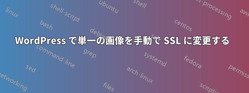 WordPress で単一の画像を手動で SSL に変更する 