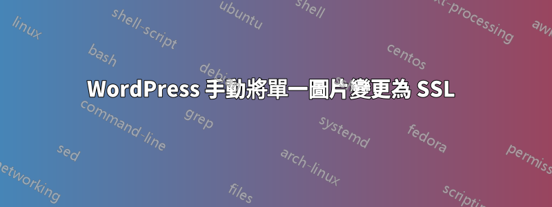 WordPress 手動將單一圖片變更為 SSL 