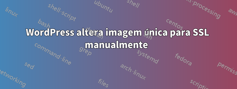 WordPress altera imagem única para SSL manualmente 