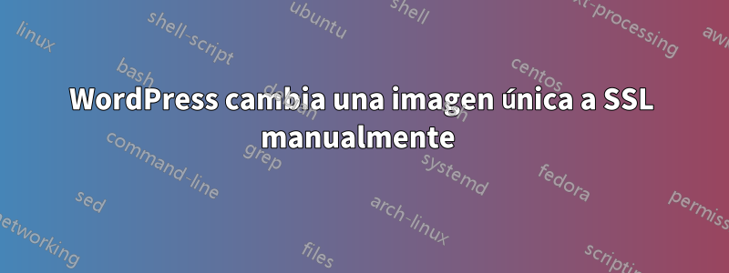 WordPress cambia una imagen única a SSL manualmente 