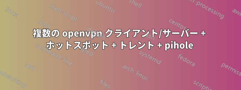 複数の openvpn クライアント/サーバー + ホットスポット + トレント + pihole