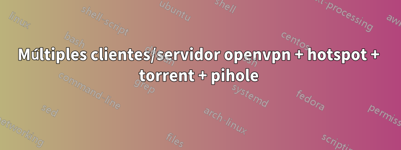 Múltiples clientes/servidor openvpn + hotspot + torrent + pihole