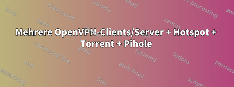 Mehrere OpenVPN-Clients/Server + Hotspot + Torrent + Pihole