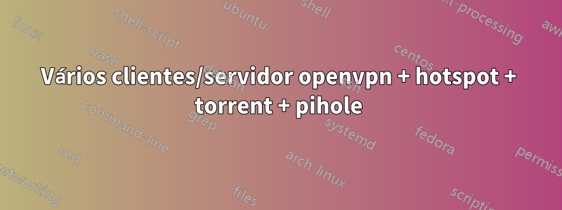 Vários clientes/servidor openvpn + hotspot + torrent + pihole