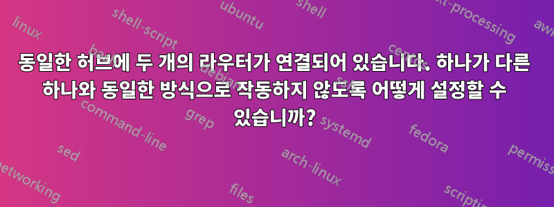 동일한 허브에 두 개의 라우터가 연결되어 있습니다. 하나가 다른 하나와 동일한 방식으로 작동하지 않도록 어떻게 설정할 수 있습니까?