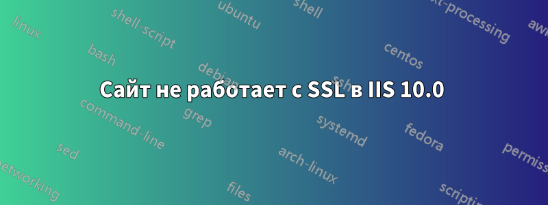 Сайт не работает с SSL в IIS 10.0