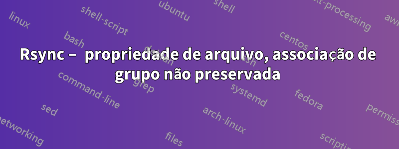 Rsync – propriedade de arquivo, associação de grupo não preservada