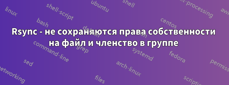 Rsync - не сохраняются права собственности на файл и членство в группе