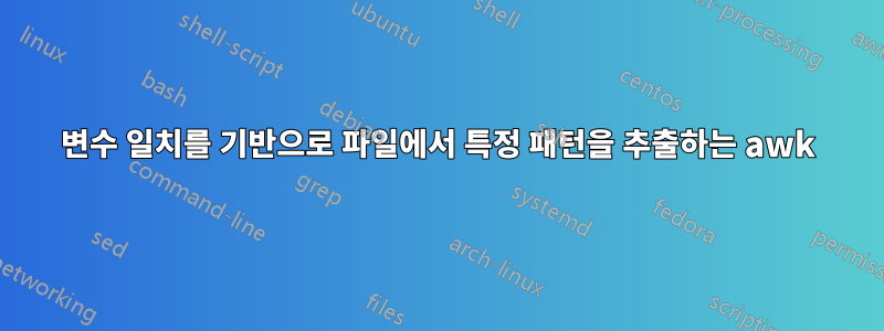 변수 일치를 기반으로 파일에서 특정 패턴을 추출하는 awk