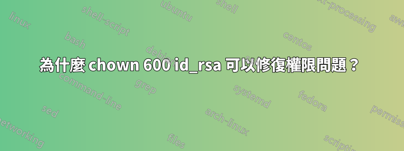 為什麼 chown 600 id_rsa 可以修復權限問題？