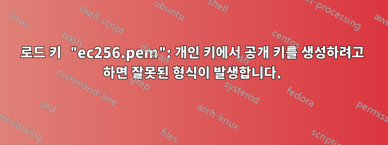 로드 키 "ec256.pem": 개인 키에서 공개 키를 생성하려고 하면 잘못된 형식이 발생합니다.