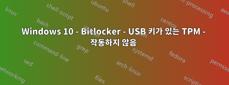 Windows 10 - Bitlocker - USB 키가 있는 TPM - 작동하지 않음