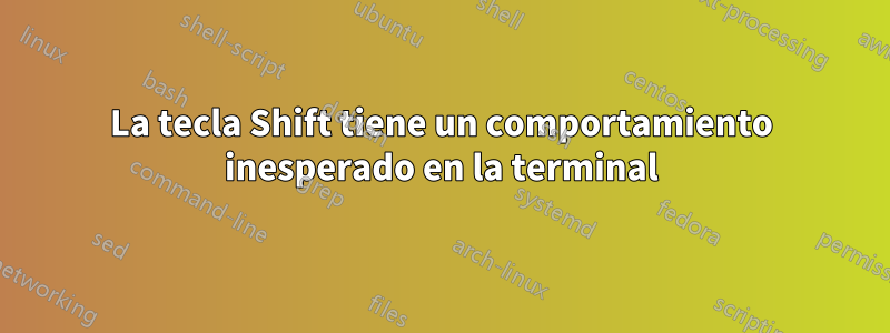 La tecla Shift tiene un comportamiento inesperado en la terminal