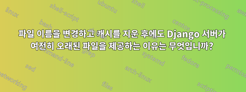 파일 이름을 변경하고 캐시를 지운 후에도 Django 서버가 여전히 오래된 파일을 제공하는 이유는 무엇입니까?