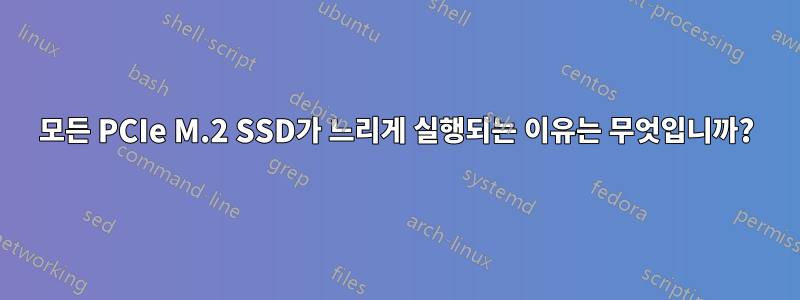 모든 PCIe M.2 SSD가 느리게 실행되는 이유는 무엇입니까?