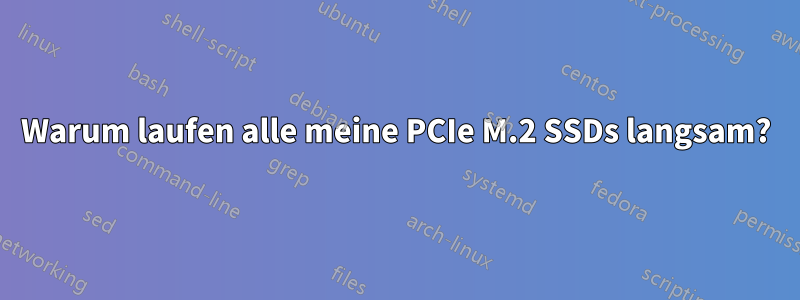 Warum laufen alle meine PCIe M.2 SSDs langsam?