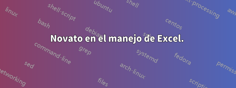 Novato en el manejo de Excel.