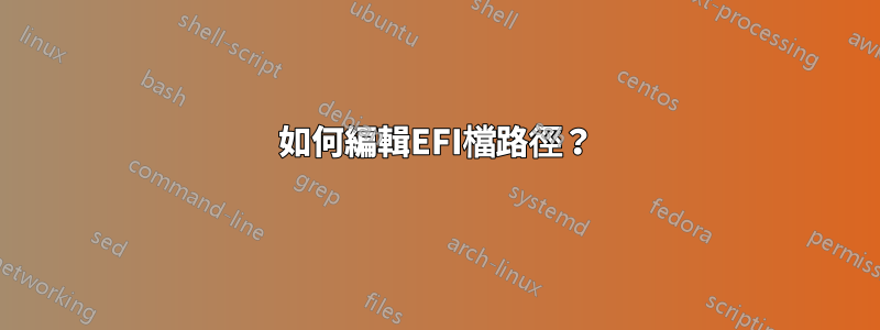 如何編輯EFI檔路徑？