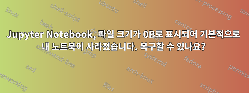 Jupyter Notebook, 파일 크기가 0B로 표시되어 기본적으로 내 노트북이 사라졌습니다. 복구할 수 있나요?