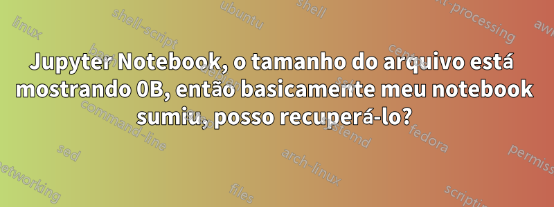 Jupyter Notebook, o tamanho do arquivo está mostrando 0B, então basicamente meu notebook sumiu, posso recuperá-lo?