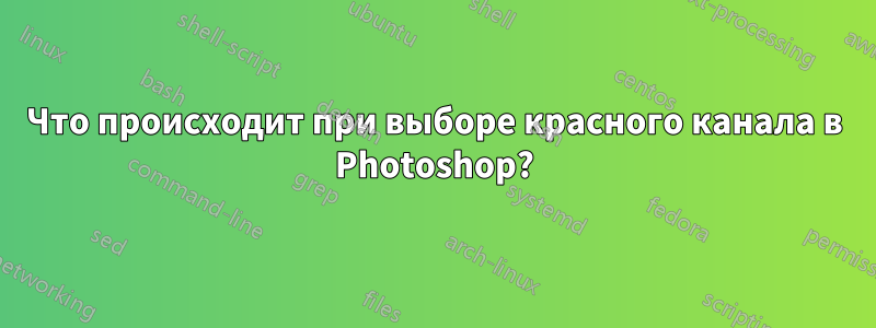 Что происходит при выборе красного канала в Photoshop?