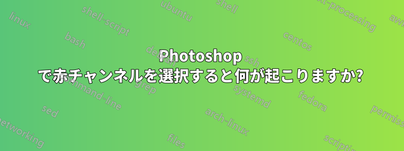 Photoshop で赤チャンネルを選択すると何が起こりますか?