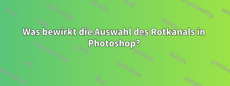 Was bewirkt die Auswahl des Rotkanals in Photoshop?