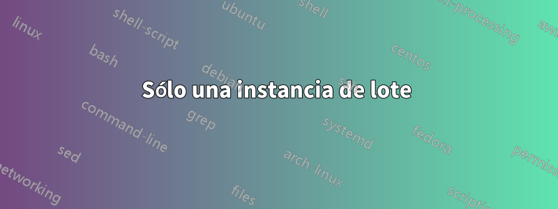 Sólo una instancia de lote