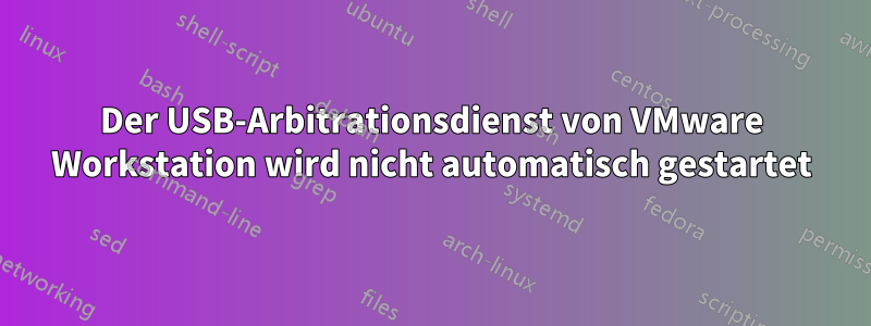 Der USB-Arbitrationsdienst von VMware Workstation wird nicht automatisch gestartet