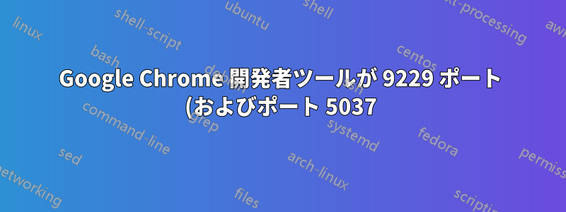 Google Chrome 開発者ツールが 9229 ポート (およびポート 5037) の 127.0.0.1 および ::1 IP へのノックを開始