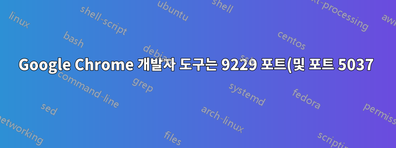 Google Chrome 개발자 도구는 9229 포트(및 포트 5037)에서 127.0.0.1 및 ::1 IP를 노크하기 시작합니다.