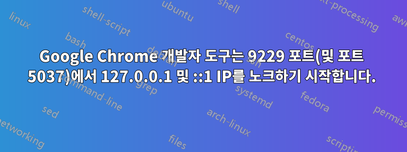 Google Chrome 개발자 도구는 9229 포트(및 포트 5037)에서 127.0.0.1 및 ::1 IP를 노크하기 시작합니다.