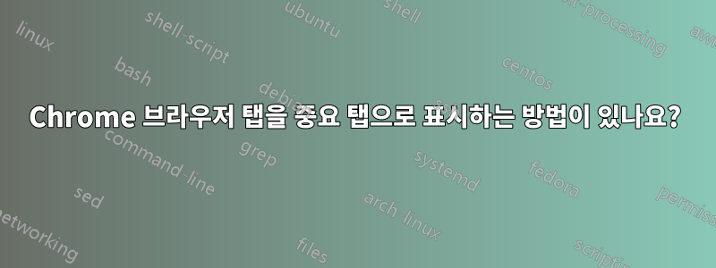 Chrome 브라우저 탭을 중요 탭으로 표시하는 방법이 있나요?