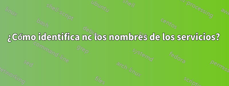 ¿Cómo identifica nc los nombres de los servicios?