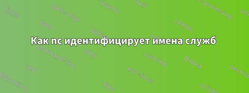 Как nc идентифицирует имена служб