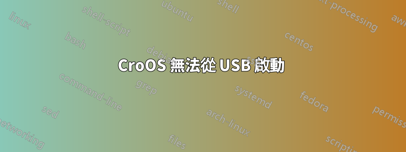 CroOS 無法從 USB 啟動