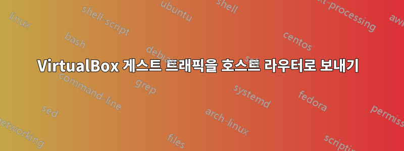 VirtualBox 게스트 트래픽을 호스트 라우터로 보내기 